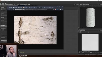 Nodevember 16: Forest - #artstation #substance #nodevember #nodevember2020