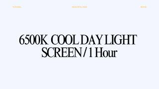 6500K Cool White Light Screen | 1 Hour