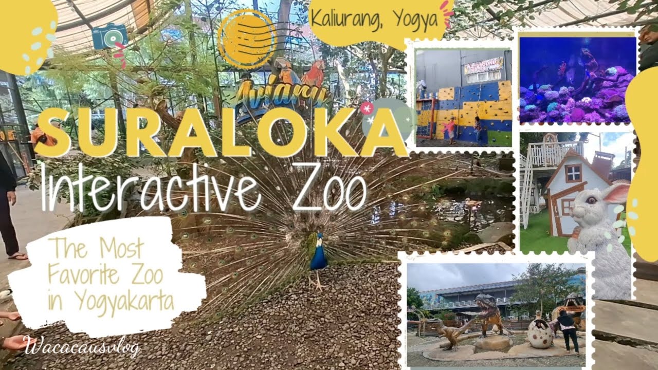 Интерактивный зоопарк Суралока | Самое веселое семейное посещение зоопарка!