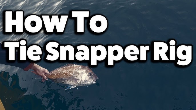 Top 3 BEST Snapper Rigs to Catch MORE Fish! 