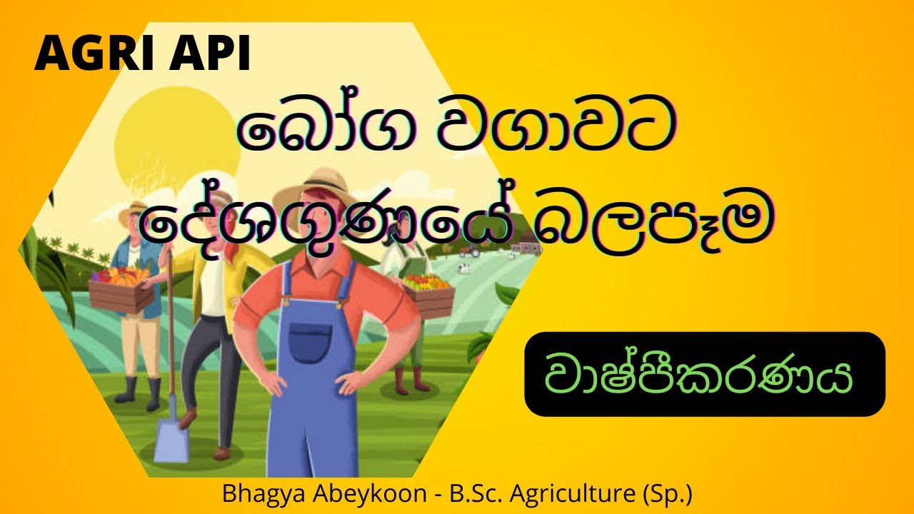 වාෂ්පීකරණය | බෝග වගාවට දේශගුණයේ බලපෑම | Agri Api - YouTube