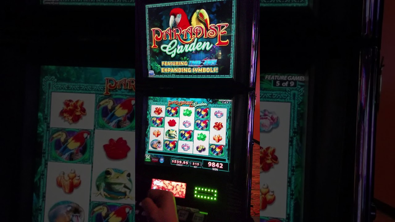 Paradise Island!  Hand PAY!!! Max bet on 5c machine!