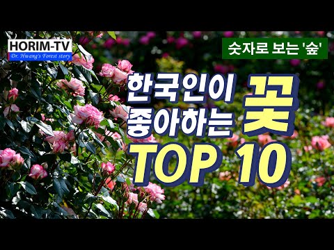 한국인이 좋아하는 꽃 TOP 10, 숲 전문 HORIM-TV