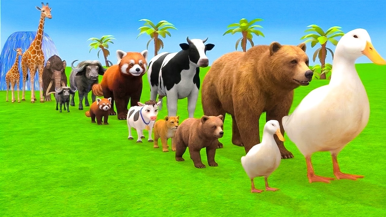 Long Slide Game With Elephant Gorilla Buffalo Hippopotamus Tiger - 3d Animal Game - Funny 3d Animals