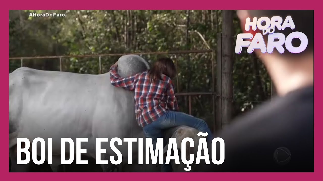 Conheça Camilly, a menina apaixonada por animais e que tem um boi de estimação