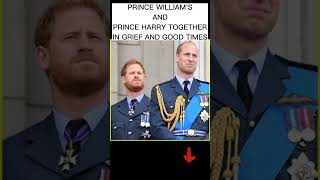 PRINCE WILLIAMS & PRINCE HARRY ALWAYS TOGETHER IN GOOD TIMES & GRIEF WHEN THEY LOST PRINCESS DIANA