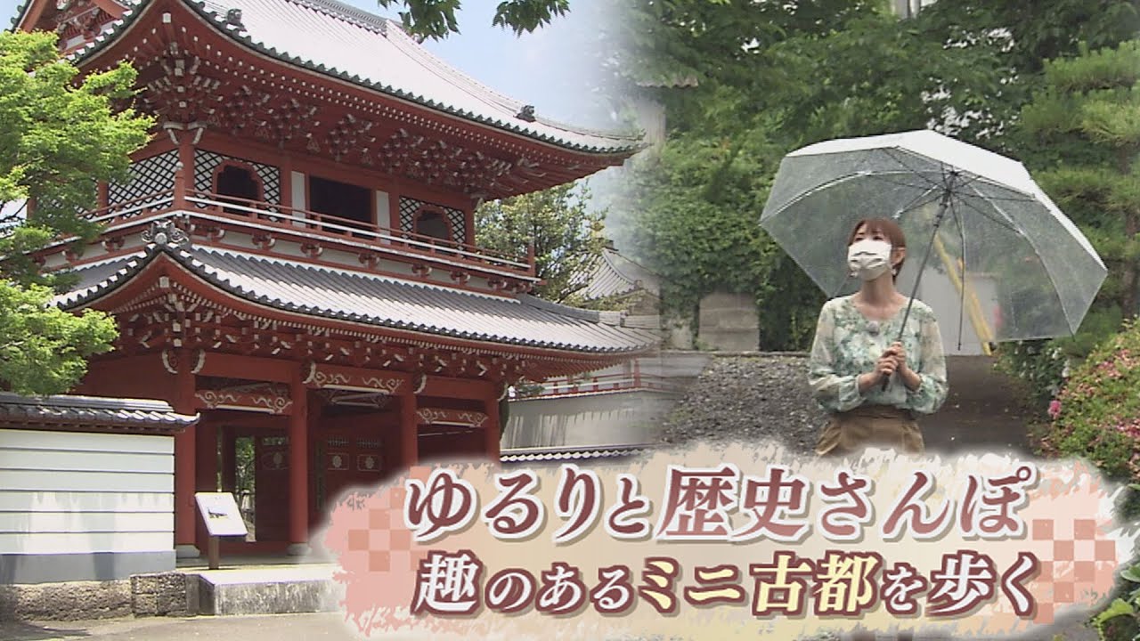 心やすらぐ寺巡り 祈りの地を訪ねて【テレビトクシマ】美馬市／安楽寺・願勝寺