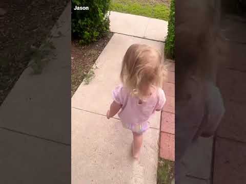 Toddler chases Lizard