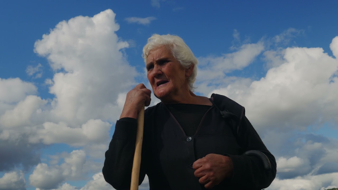 Ovelha Churra Galega Bragançana Preta