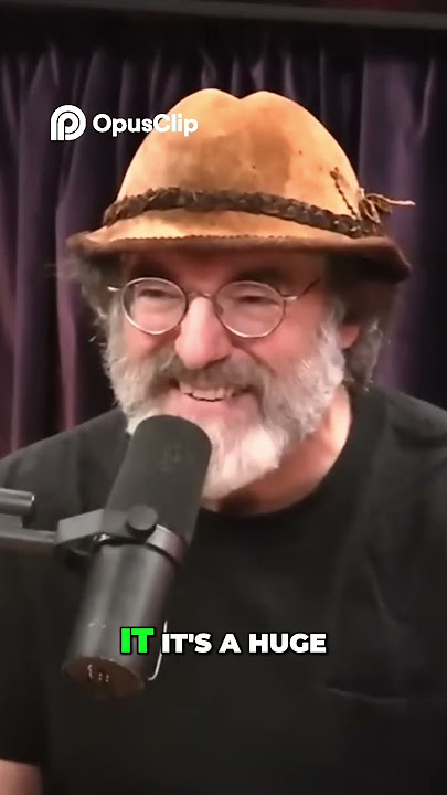 Identifying Psychedelic Mushrooms: Wood Lover Clues!