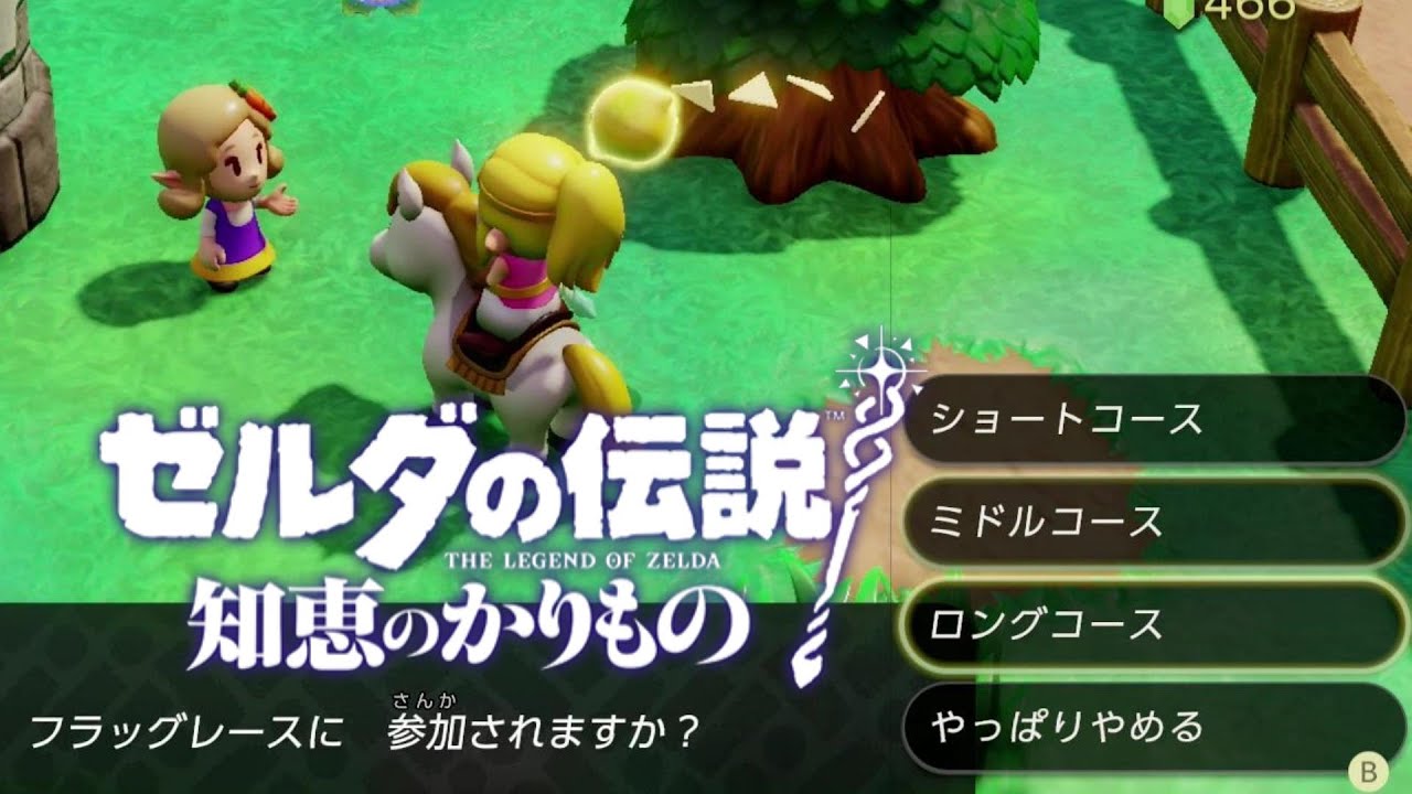知恵のかりもの】ミニゲーム 3種『フラッグレース』ゼルダの伝説 - YouTube