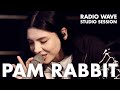 Pam rabbit radio wave studio session