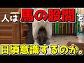 【めっちゃカメレオン】擬態か、迷彩か、世間体か、すべてを使って鬼から隠れきるゲームwwwww【ゆっくり実況/草の人】