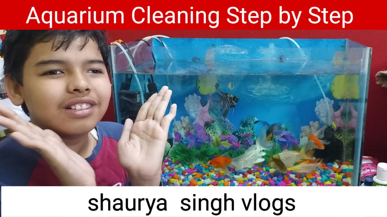 aquarium-clean-karne-ka-sahi-tarika-aquarium-cleaning-tips-how-to