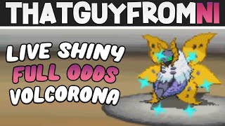 Live Shiny Volcorona After 4620 Soft Resets! [Full Odds - Black] || ThatGuyFromNI screenshot 5