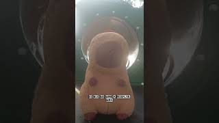 CAPIBARA SALIÓ VOLANDO EN EL TOBOGAN 😱