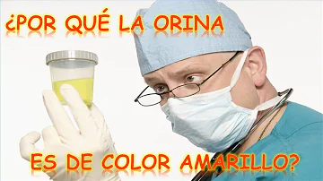 ¿Qué hace que el pis sea amarillo?