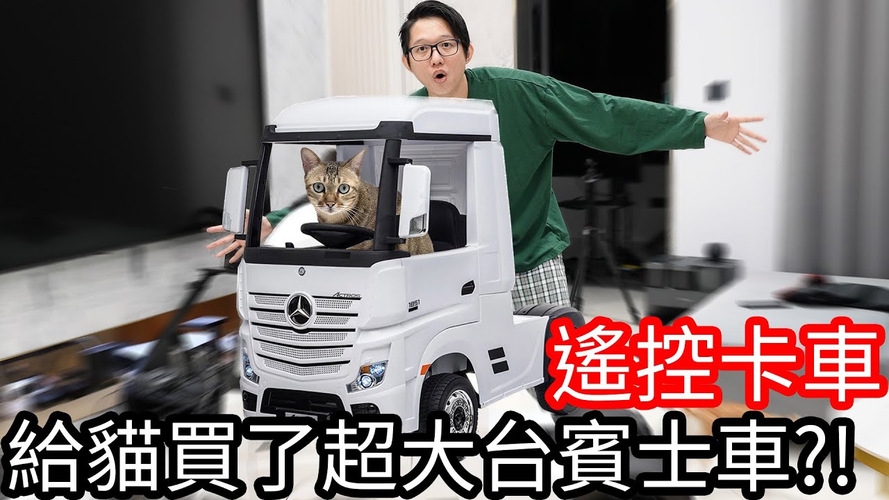 【阿金生活】我買了一台10,000元的賓士車幫貓咪圓夢!?