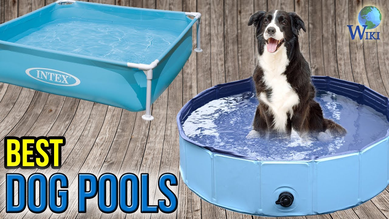 best dog pool