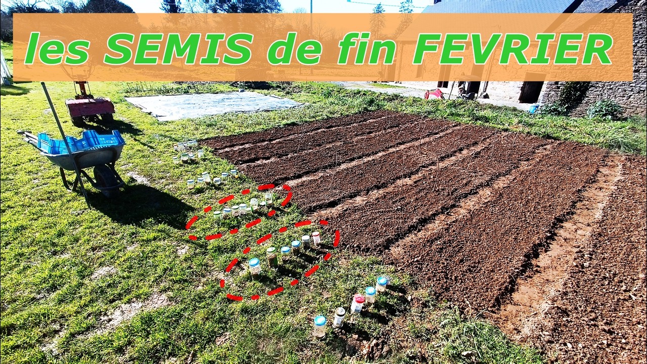mes 45 semis dans le permachamp en février !