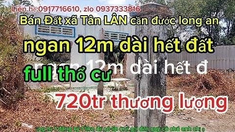 Ms107-Bán đất xã tân lân cần đước long an,ngan 13m,DT453m² full thổ cư,720tr TL