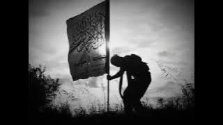 نحن في الحرب اسود لا نهاب