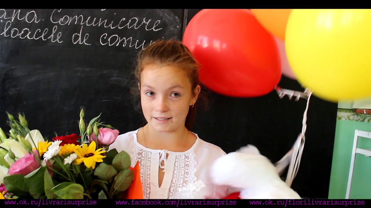 Livrari Surprize - Opaci