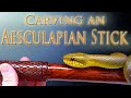 Carving an Aesculapian Snake Walking Stick