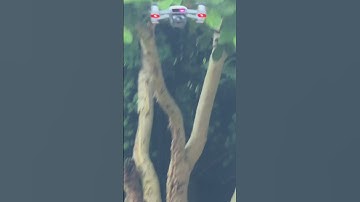 Take Off CRASH 💥 DJI Spark @DJI #dji #drone