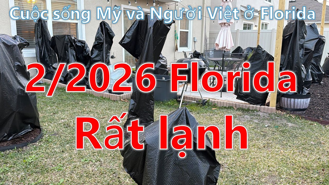 В начале 2026 года во Флориде так холодно! (Видеоблог 352, Жизнь вьетнамских американцев во Флориде)