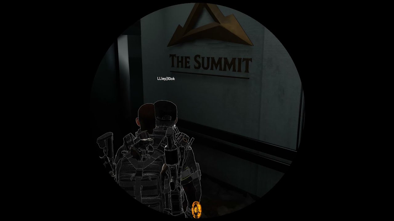 Division 2 Screen freeze