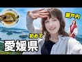 愛媛県の初旅行!海の幸、レトロの旅館、ロマン…