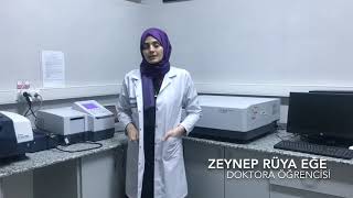 Zeynep Rüya Ege
