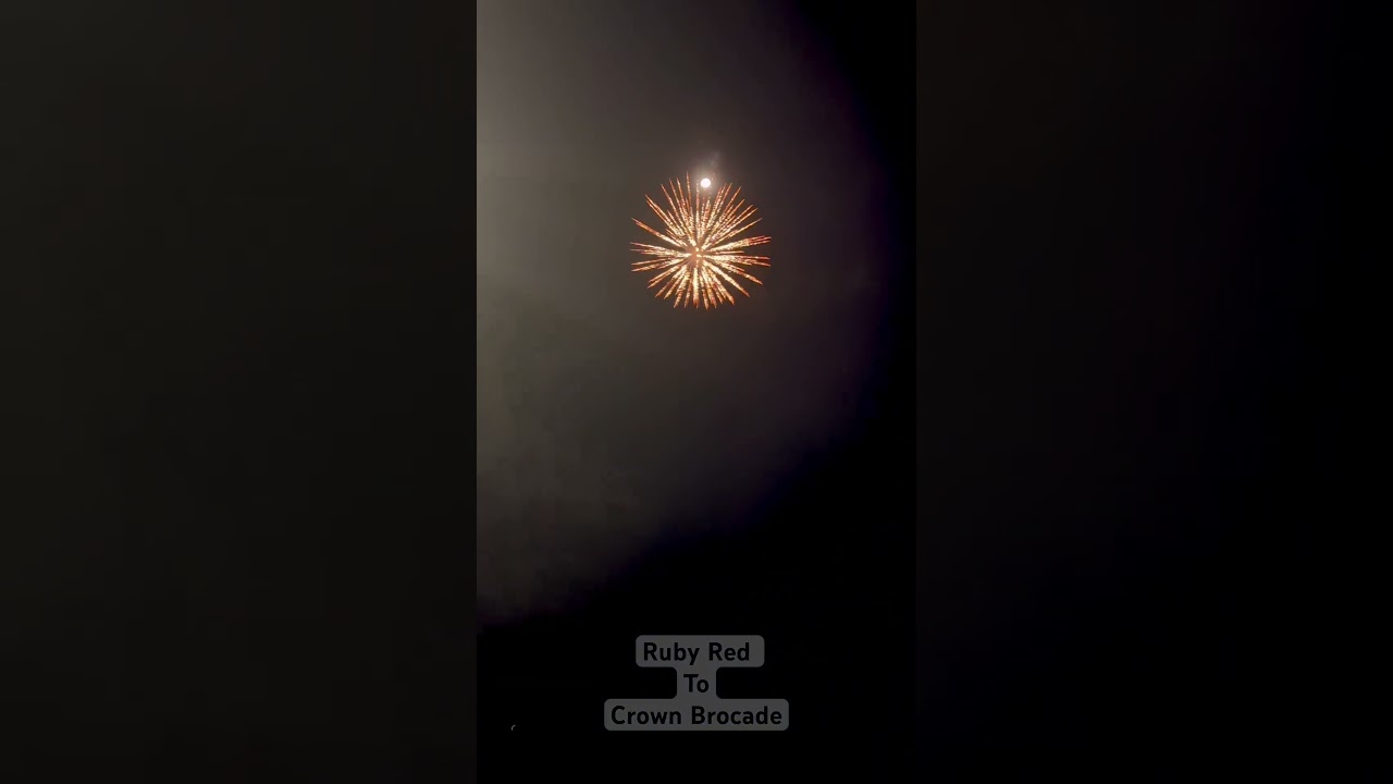 Dragon Fireworks - Blooming Flowers Ruby Red to Crown Brocade. 