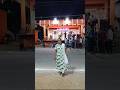 சுரண்டை அழகு பார்வதி அம்மன் கோவில் திருவிழா #shortsfeed #shortvideo #shorts #youtubeshorts #trending