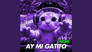 Ay Mi Gatito Phonk