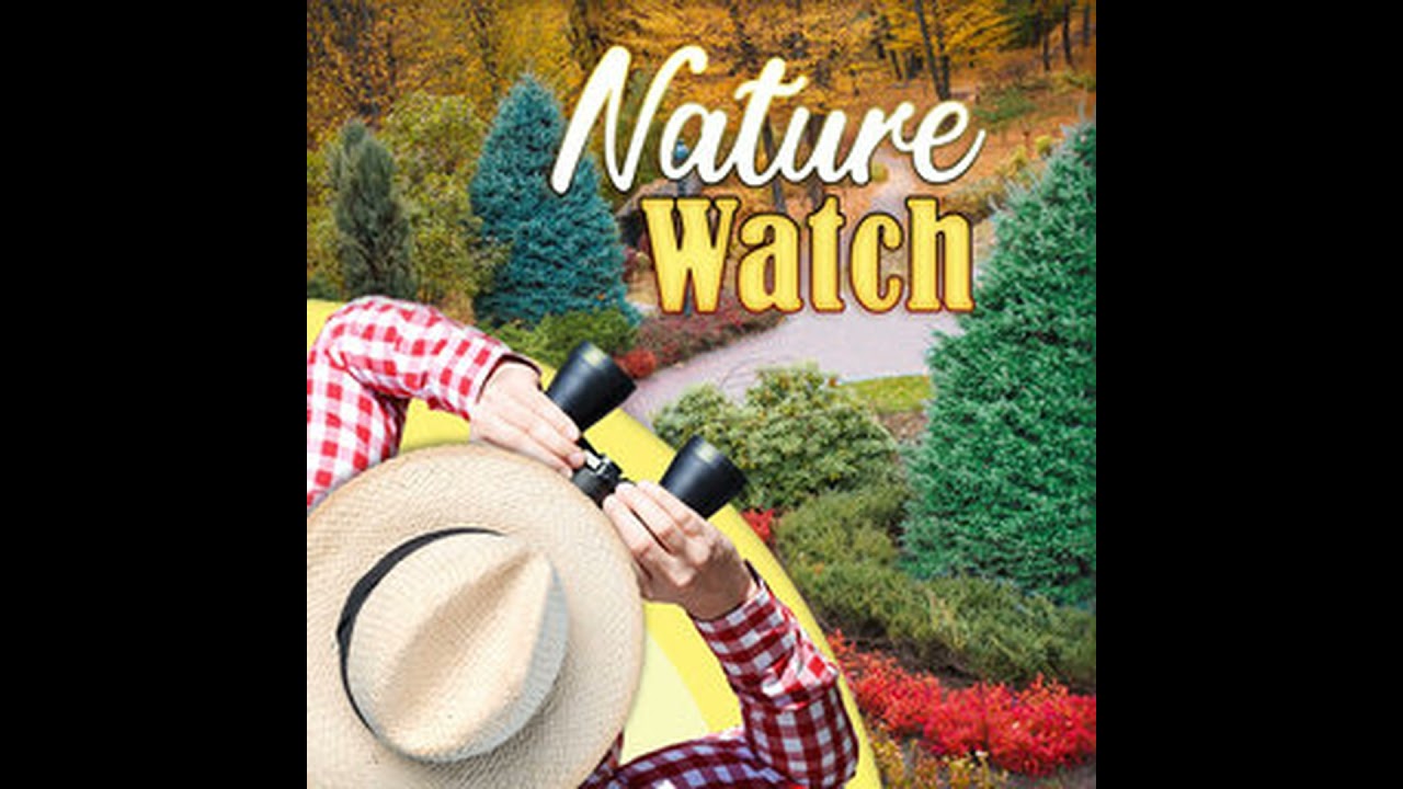 Nature Watch 1/17/26
