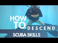 HOW TO descend at the start of your dive | SCUBA SKILLS Mp3 Song