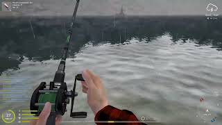 Russian Fishing 4: обажаю погоду на Куори ))