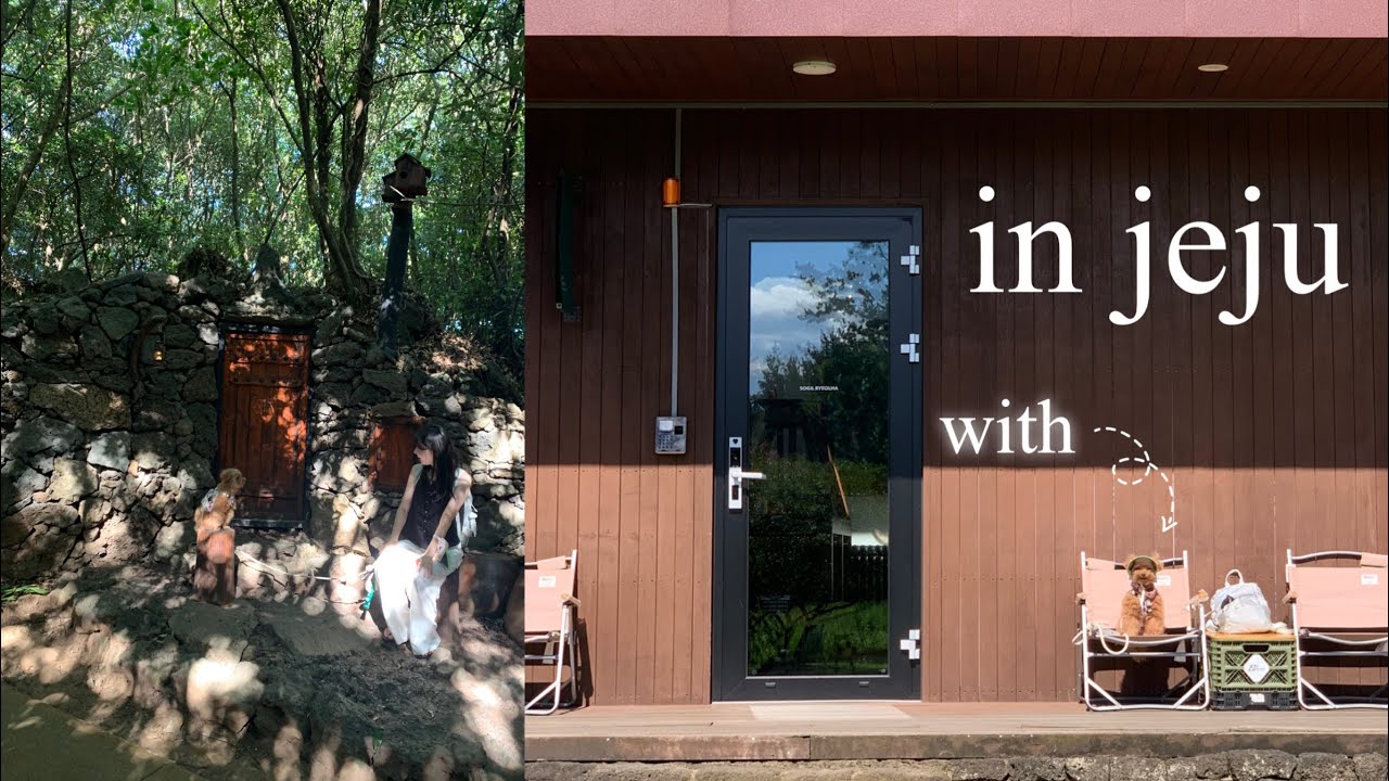 노견 강쥐 별이와의 제주 여행 🏝️(우려하지 못한 일이..)ㅣep.2