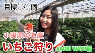 門松みゆきの勝手に小田原観光大使 #14「AGRI WAYS編」