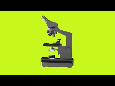 3D Microscope Rotating Green Screen Loop - YouTube