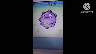 Pokemon Disappointed By Their Evolution Koffing Evolves In Reverse #ml #koffing