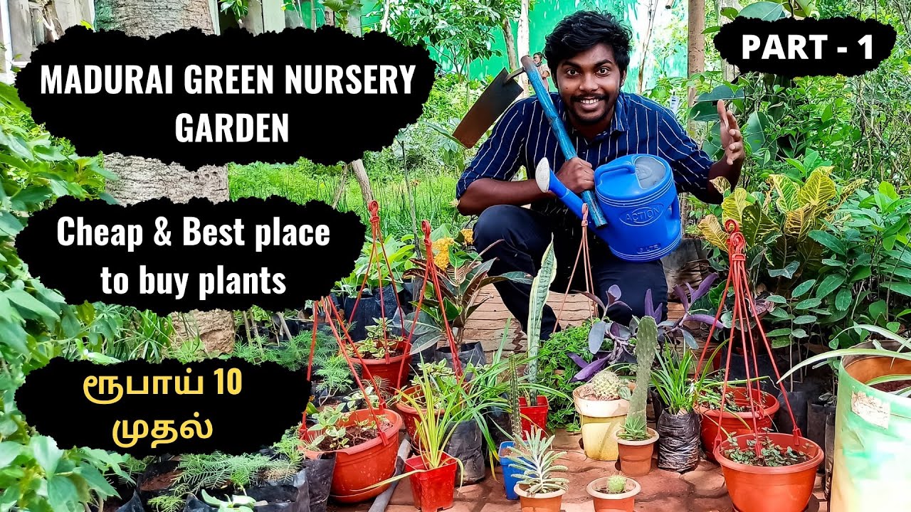 Green Madurai Nursery Garden The Best & Cheapest Plants Names with