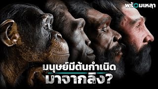 คนมาจากลิงจริงหรือ? ย้อนรอยเส้นทางวิวัฒนาการหาจุดเริ่มต้นของมนุษย์