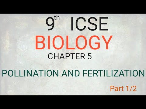 9th ICSE BIOLOGY CHAPTER 5 POLLINATION AND FERTILIZATION part 1/2 - YouTube