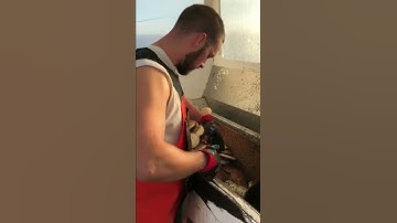 A true expert at work, shucking scallops at lightning speed.