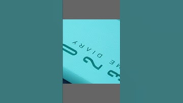 Wedding souvenirs for guests wholesale custom logo and coloured pages 2024 diary with pen