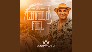 Video thumbnail of "Junior Vianna - Cavalo Fiel"