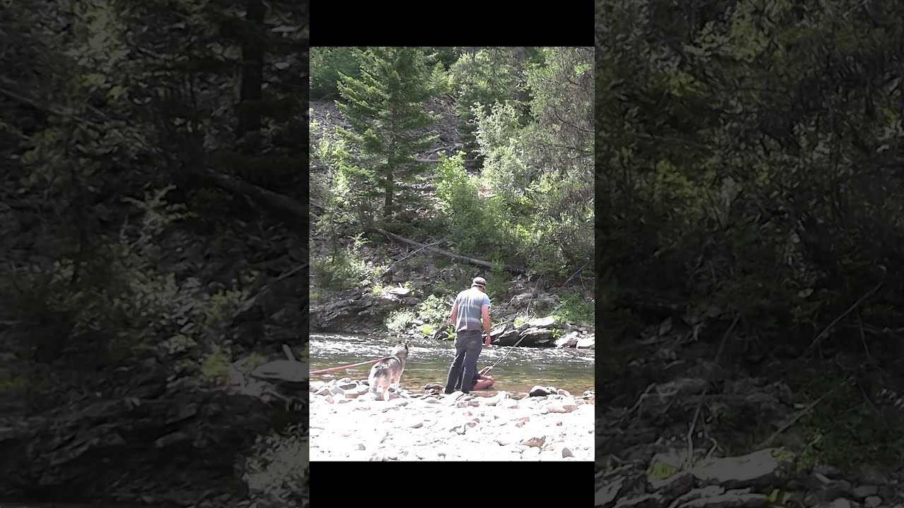 I Knew Was Going To Eat It On These Rocks Survival Flyfishing Camping Bloopersandlaughs